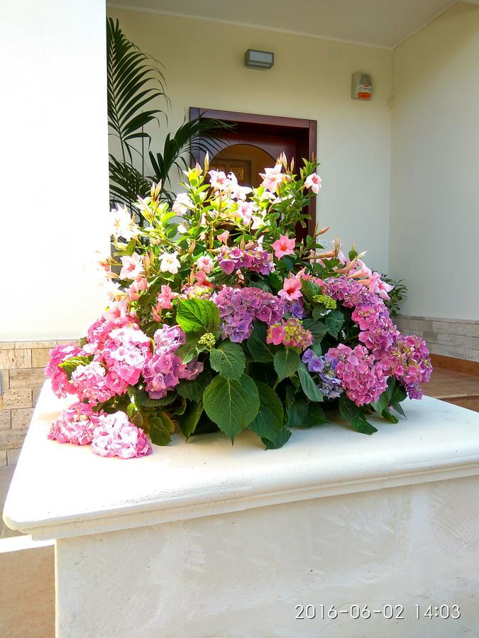 Le Camelie Bed and Breakfast Marina di Ginosa Εξωτερικό φωτογραφία